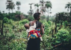 annie-spratt-135307-unsplash annie-spratt-135307-unsplash